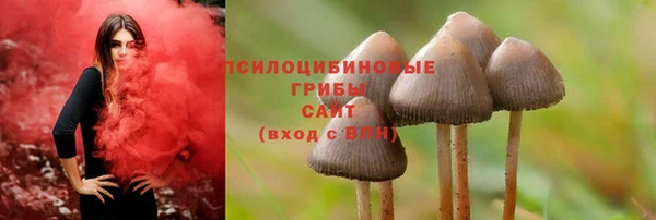 прущая мука Алзамай