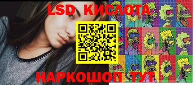 индика Кандалакша