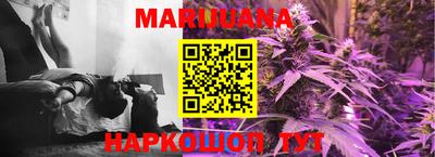 индика Кандалакша