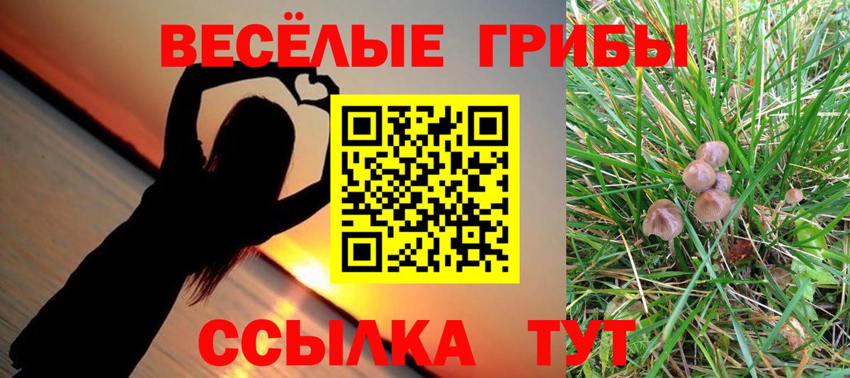 Галлюциногенные грибы GOLDEN TEACHER  Вход с VPN  Коркино 