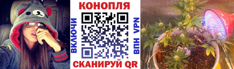 Марихуана MAZAR  где найти наркотики  Коркино 
